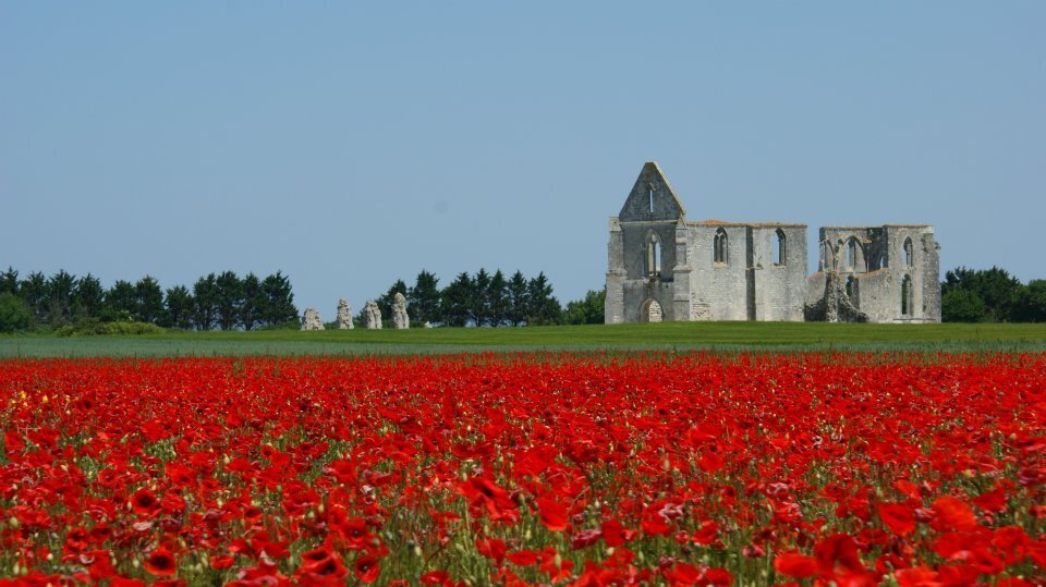 Abbaye des Châteliers - La Flotte - ILE DE RE - Artemis Location