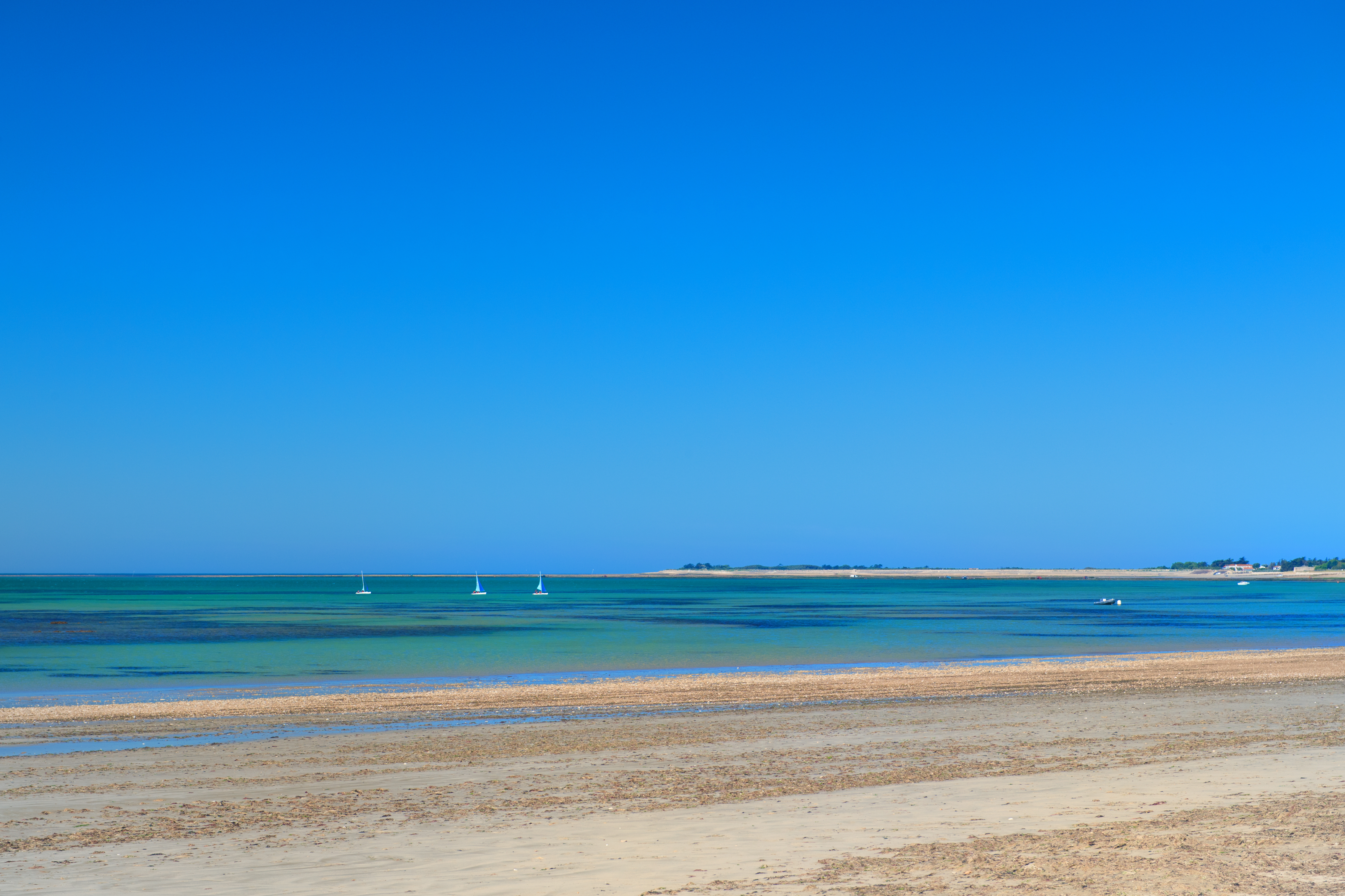 Bandeau home page Plage avec voilier Ile de Ré AdobeStock