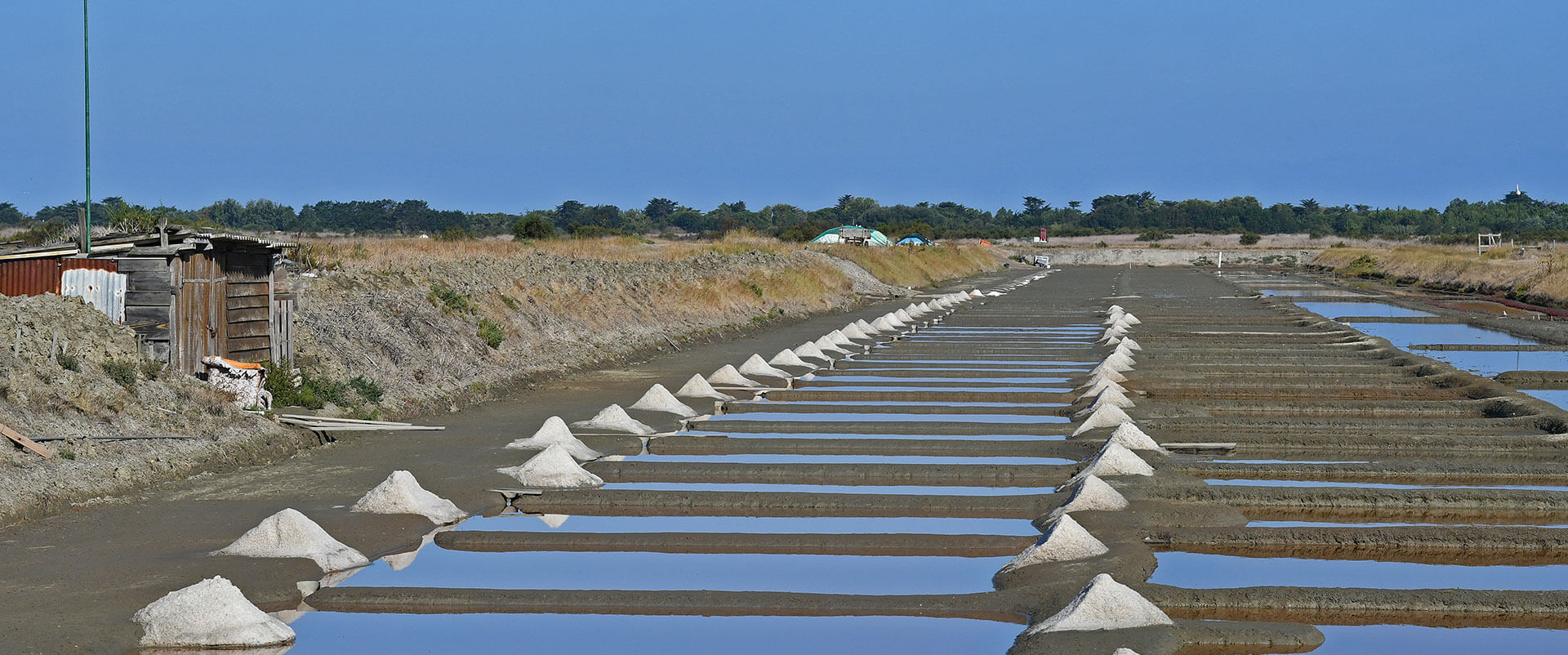 bandeau marais salants Ile de Ré