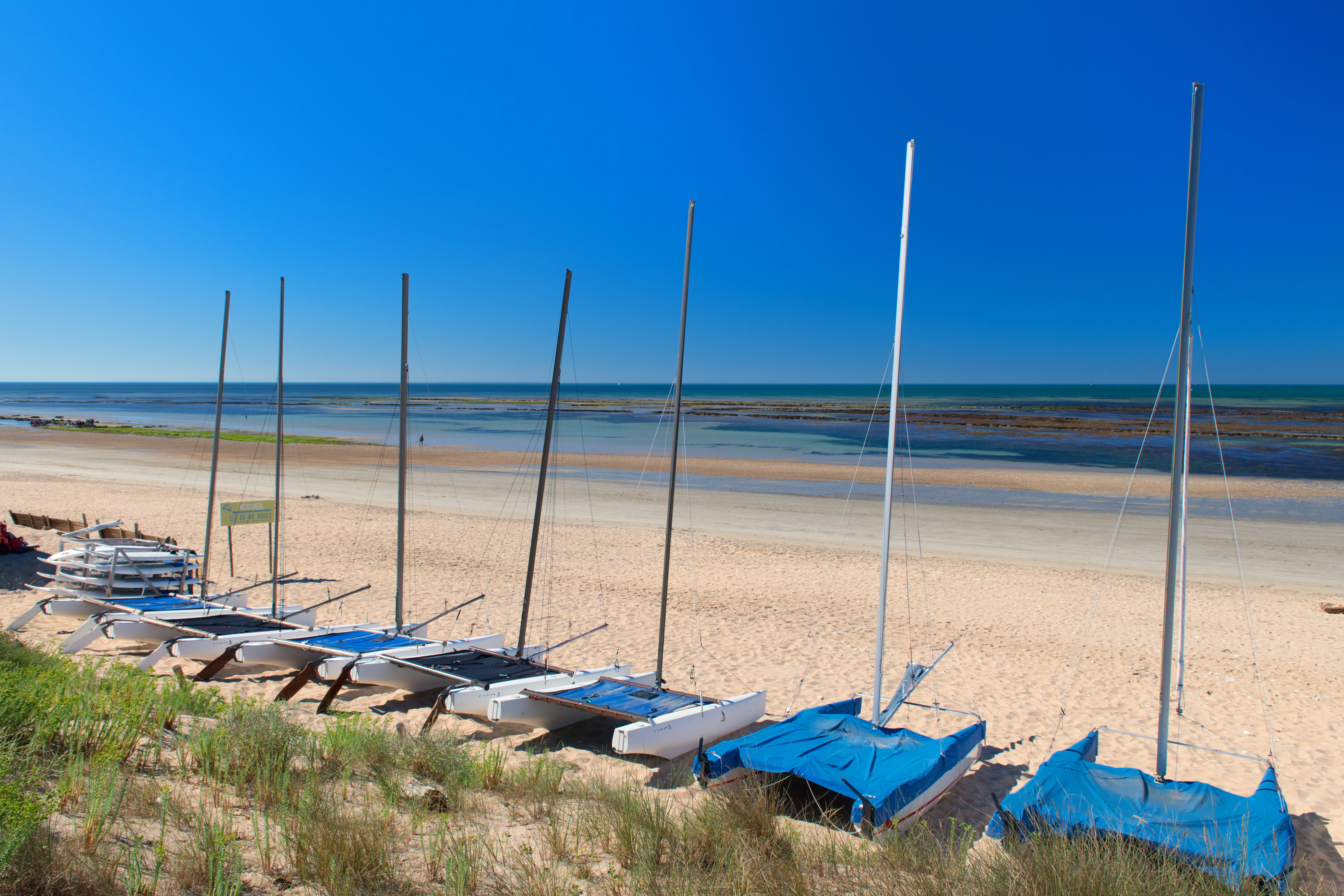 Photo bateau école de voile sur plage AdobeStock_225243335